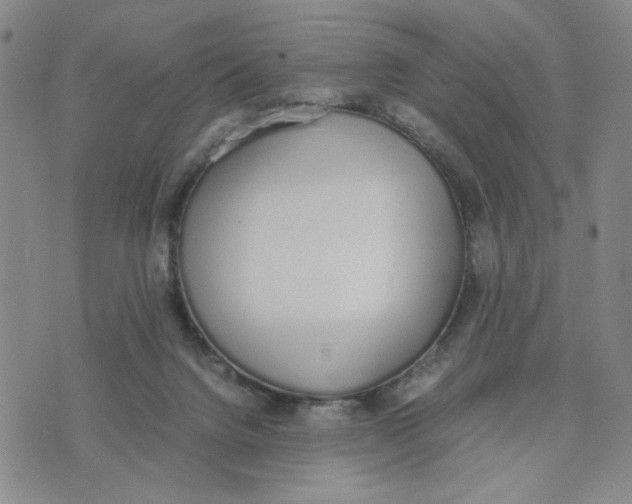 X0000076250072200610191659