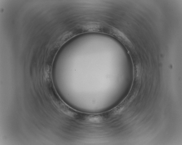 X0000076250073200610191659