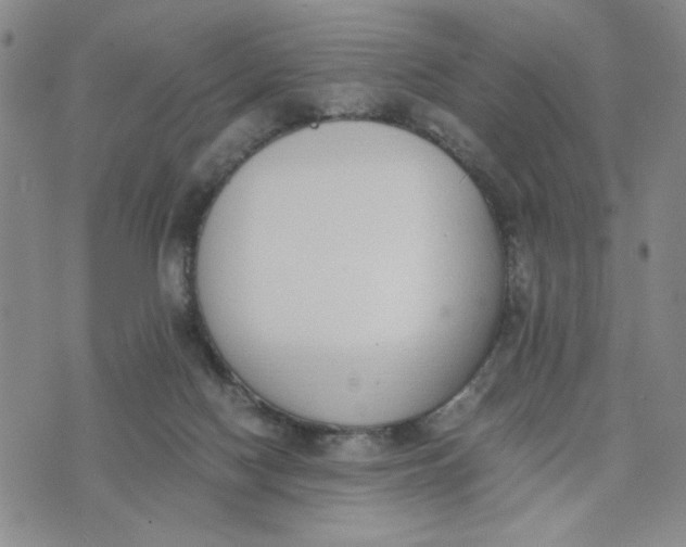 X0000076250074200610191659