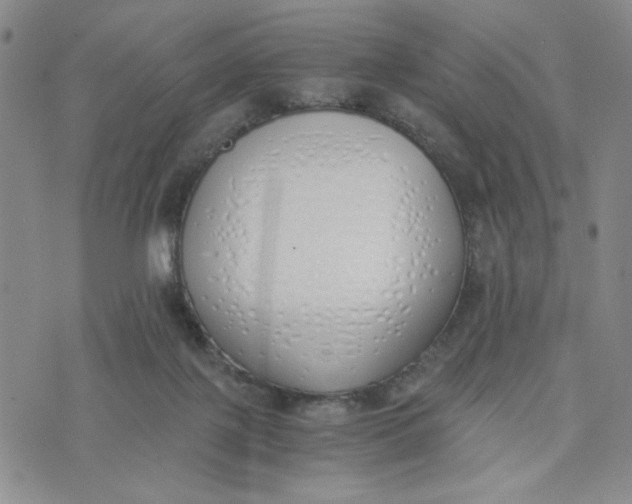 X0000076250075200610191659