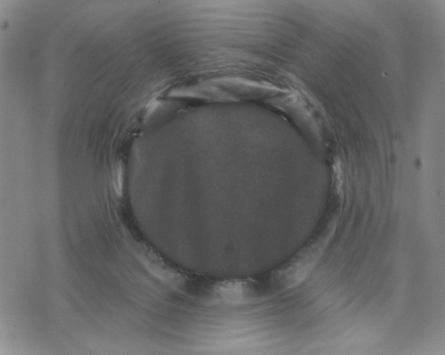 X0000076250076200610191659