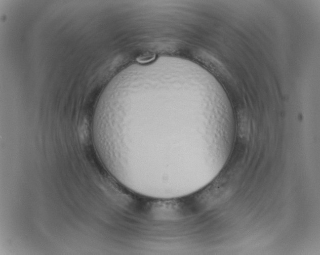 X0000076250077200610191659