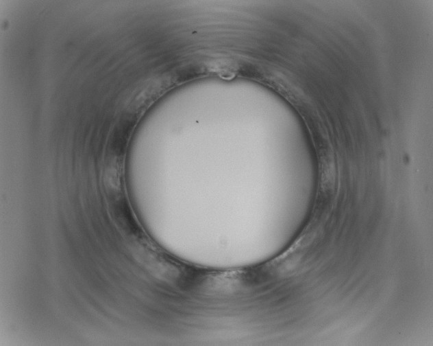 X0000076250078200610191659