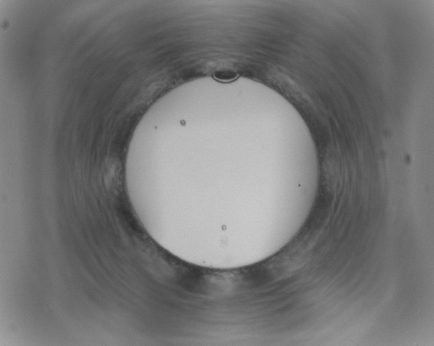 X0000076250079200610191659