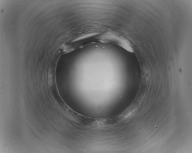 X0000076250080200610191659