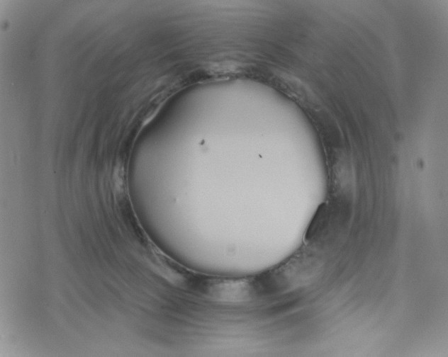 X0000076250081200610191659