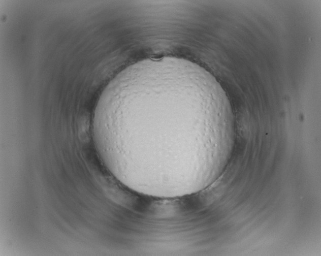 X0000076250082200610191659