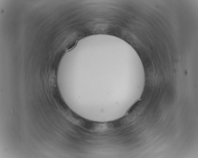 X0000076250083200610191659