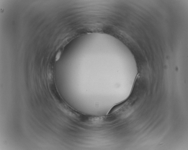 X0000076250084200610191659