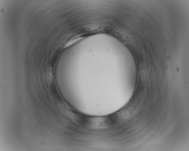 X0000076250085200610191659