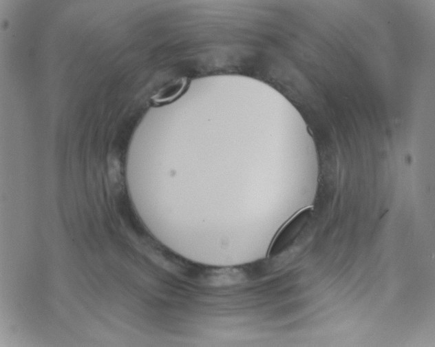 X0000076250087200610191659