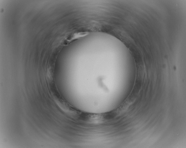 X0000076250088200610191659