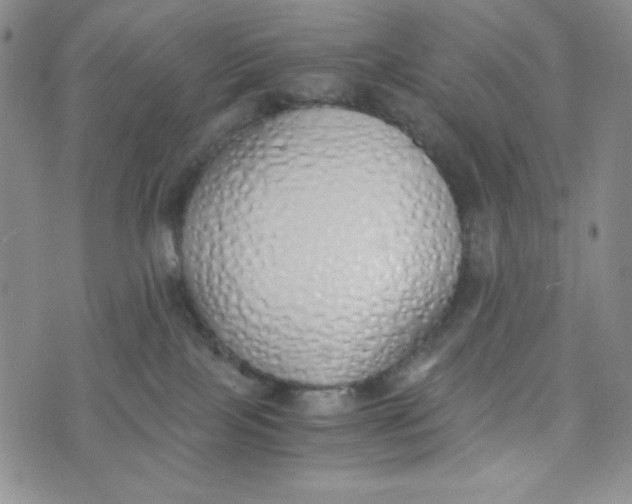 X0000076250089200610191659