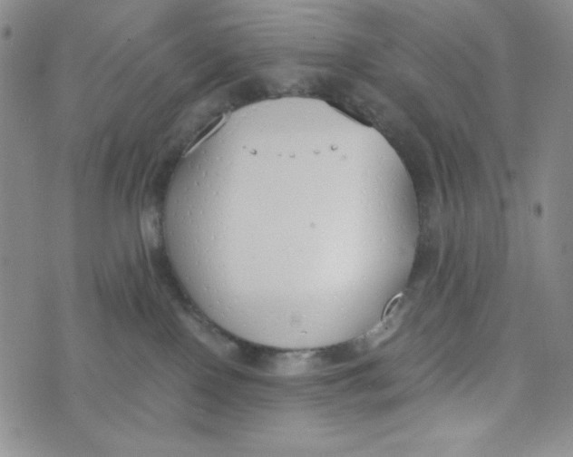 X0000076250090200610191659