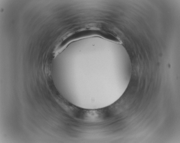 X0000076250091200610191659