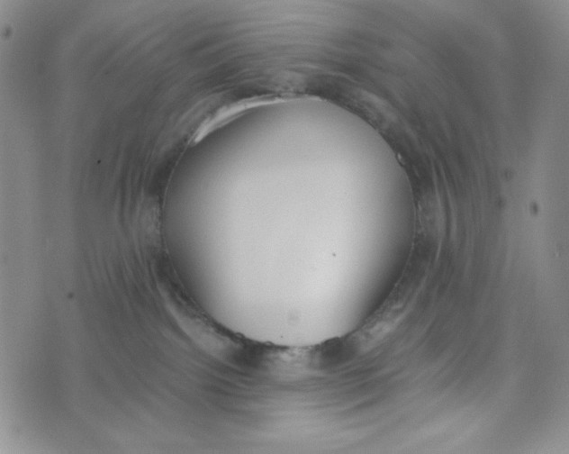 X0000076250092200610191659