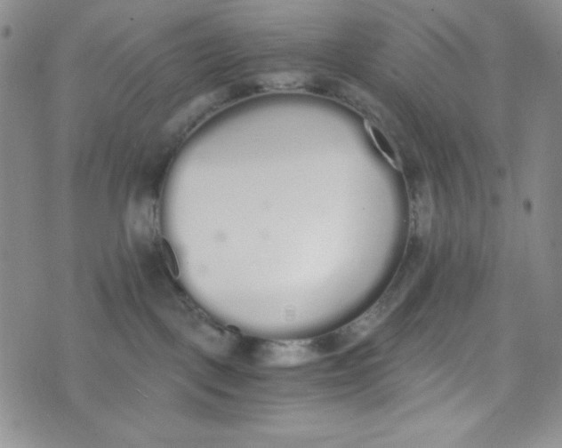 X0000076250093200610191659