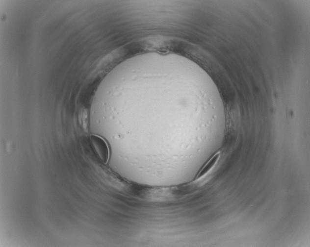 X0000076250094200610191659