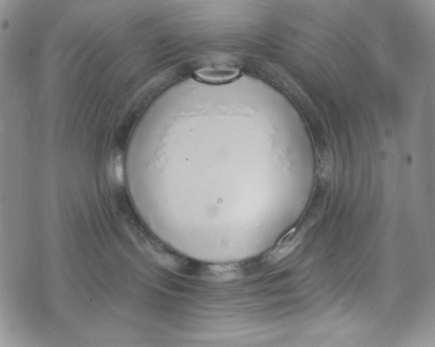 X0000076250095200610191659