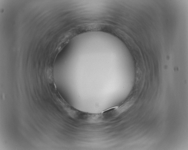 X0000076250096200610191700