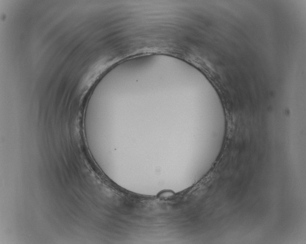 X0000076250098200610191659