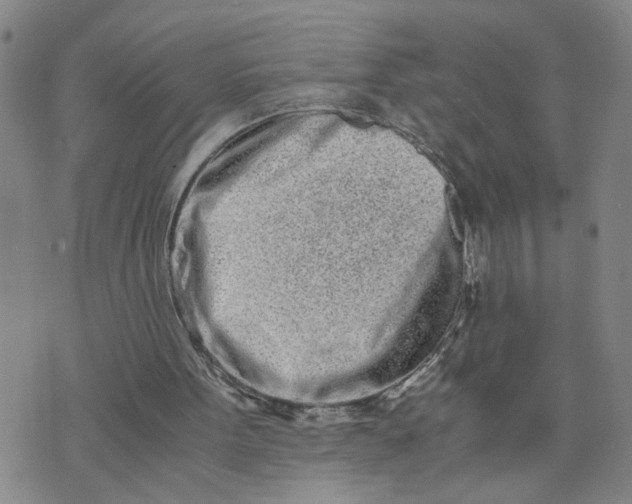 X0000076250099200610191659