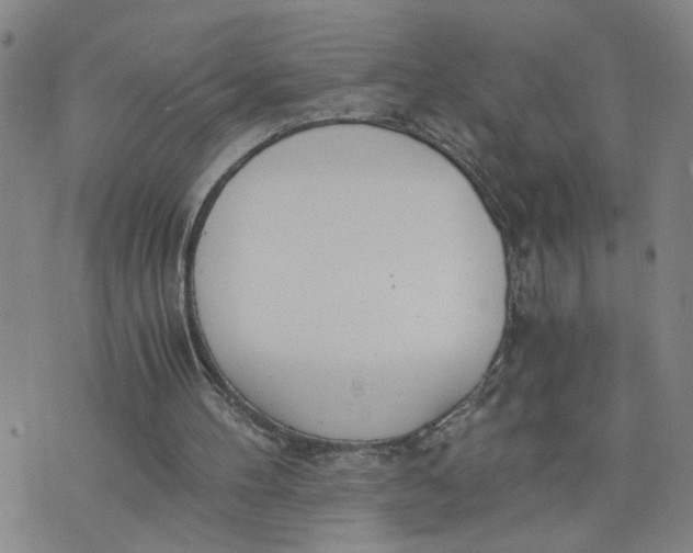 X0000076250100200610191659