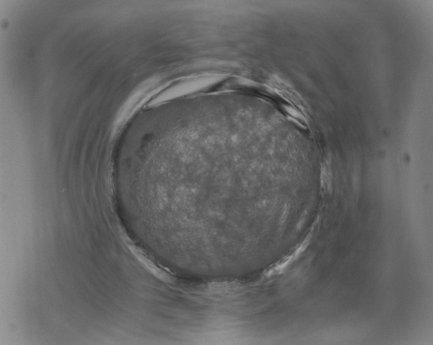 X0000076250101200610191659