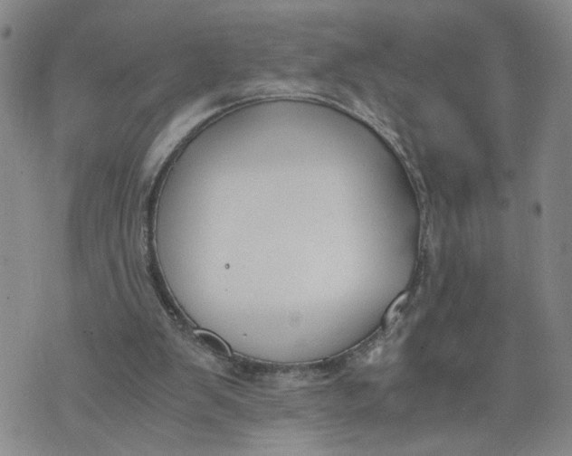 X0000076250103200610191659