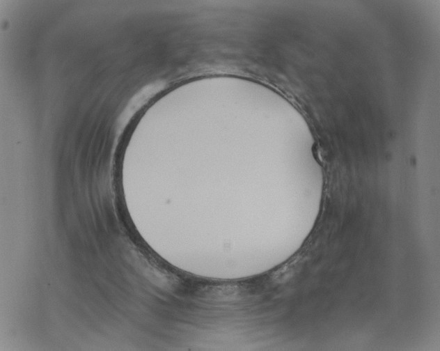 X0000076250104200610191659