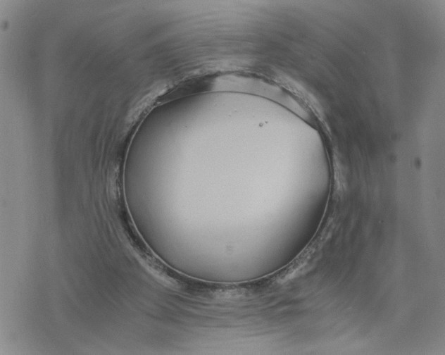 X0000076250105200610191659