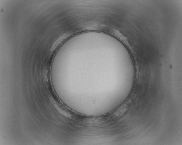 X0000076250106200610191659