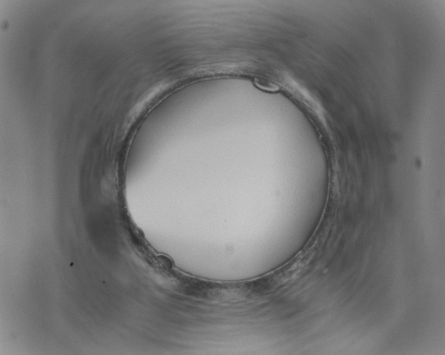 X0000076250107200610191659