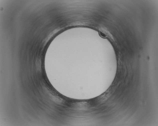 X0000076250108200610191659