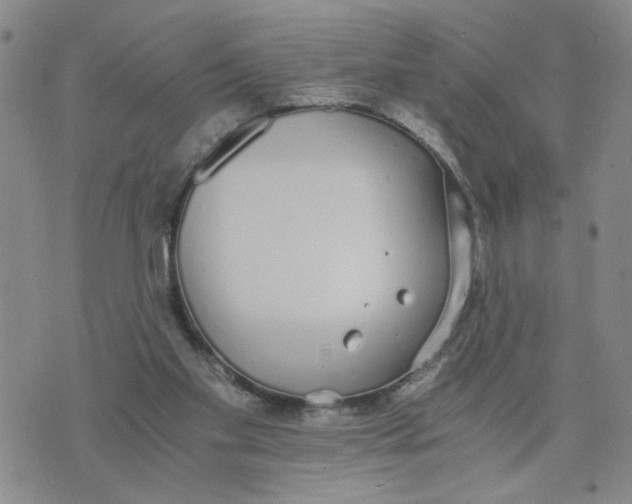 X0000076250109200610191659