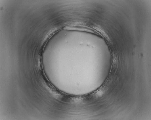 X0000076250110200610191659