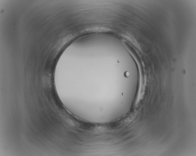 X0000076250111200610191658