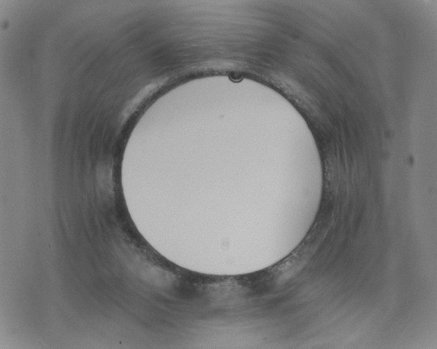 X0000076250112200610191658