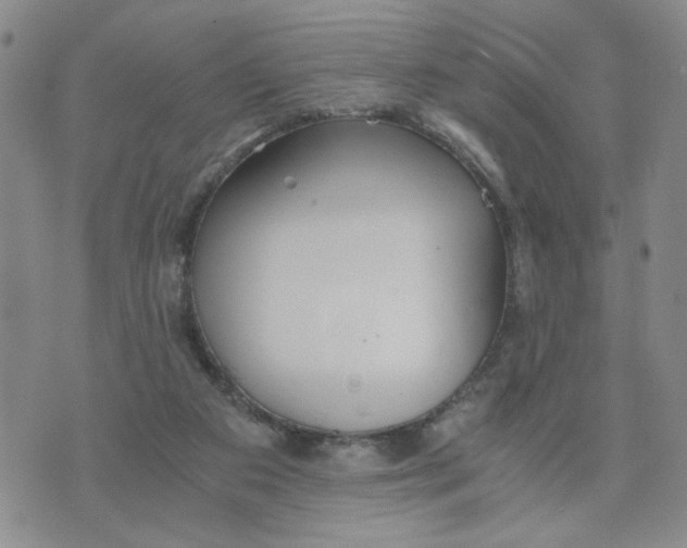 X0000076250113200610191658