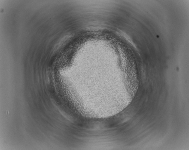 X0000076250114200610191658