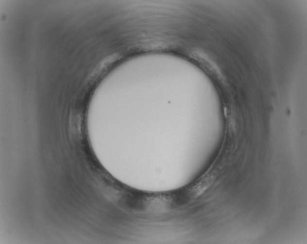 X0000076250115200610191658