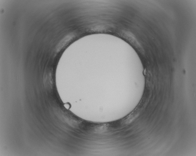 X0000076250116200610191658