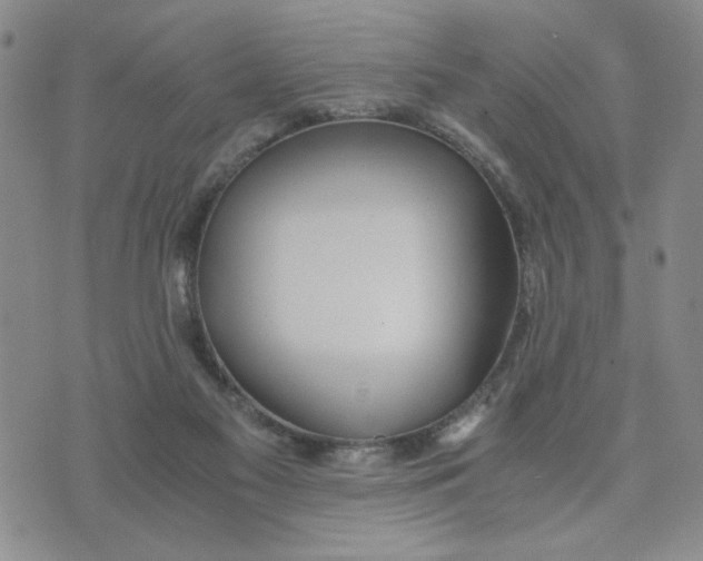 X0000076250117200610191658