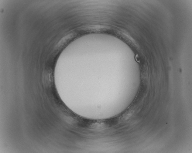 X0000076250119200610191658