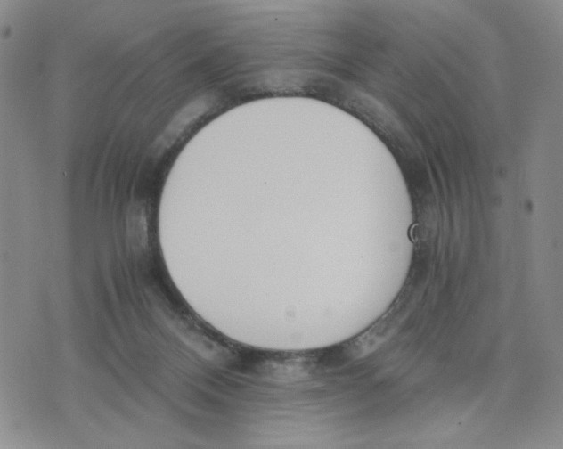 X0000076250120200610191658