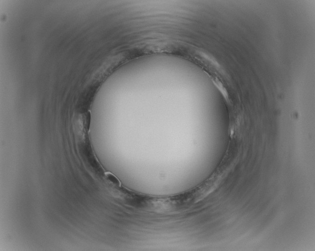 X0000076250121200610191658