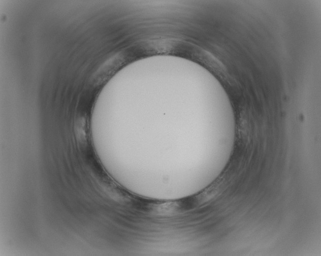 X0000076250122200610191658