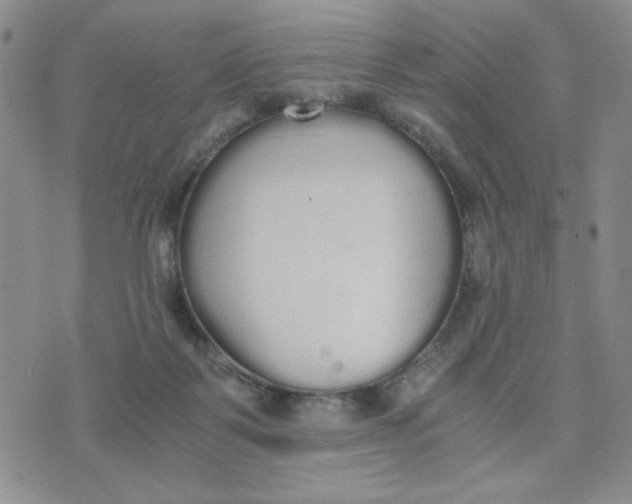 X0000076250123200610191658