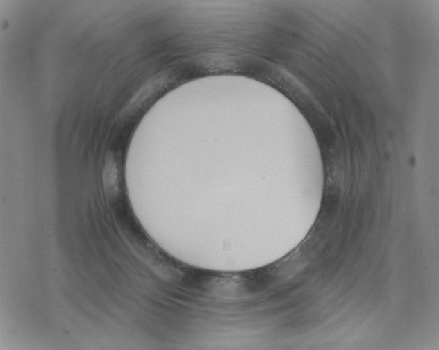 X0000076250124200610191658