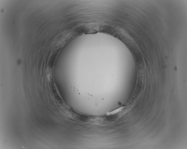 X0000076250125200610191658